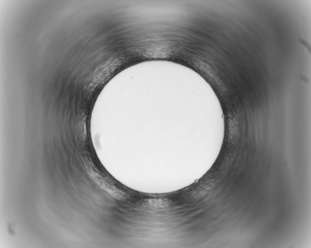 X0000100210541200806271706