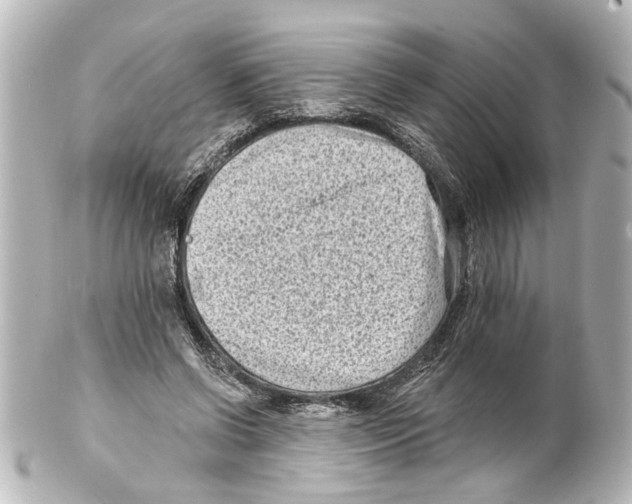 X0000100210542200806271706
