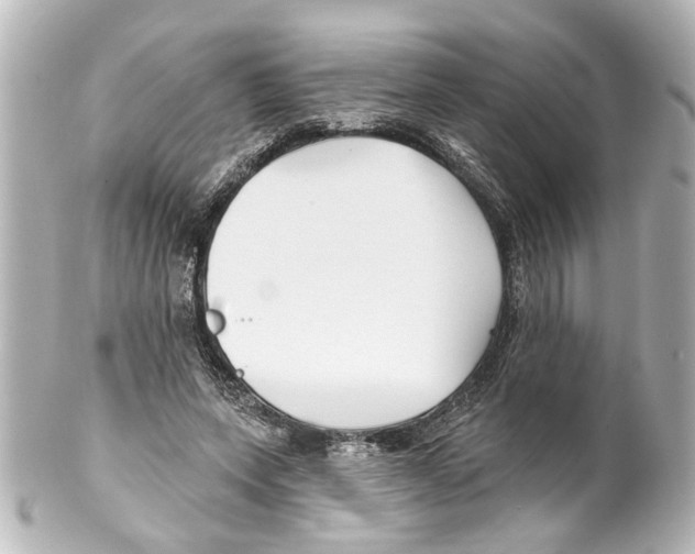 X0000100210543200806271706