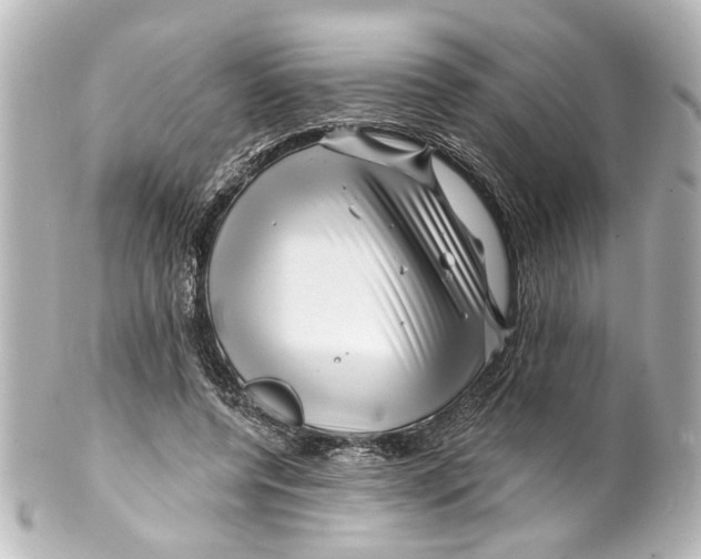 X0000100210544200806271706
