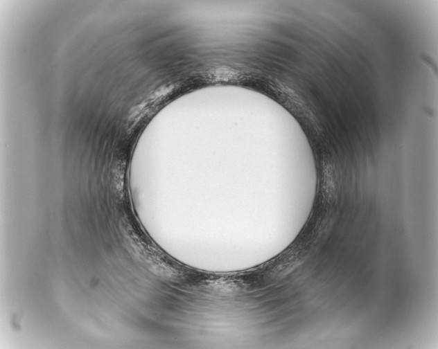 X0000100210545200806271706