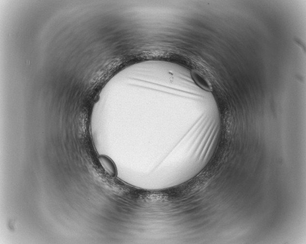X0000100210546200806271706