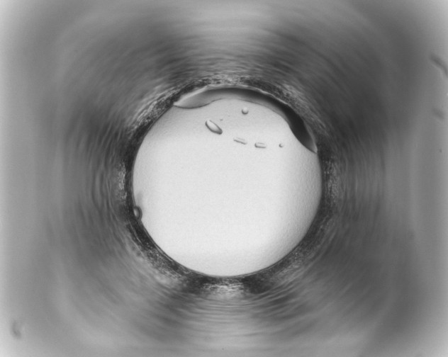 X0000100210548200806271706