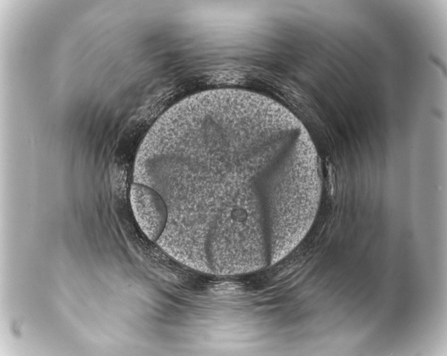 X0000100210551200806271706