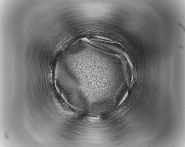 X0000100210552200806271706