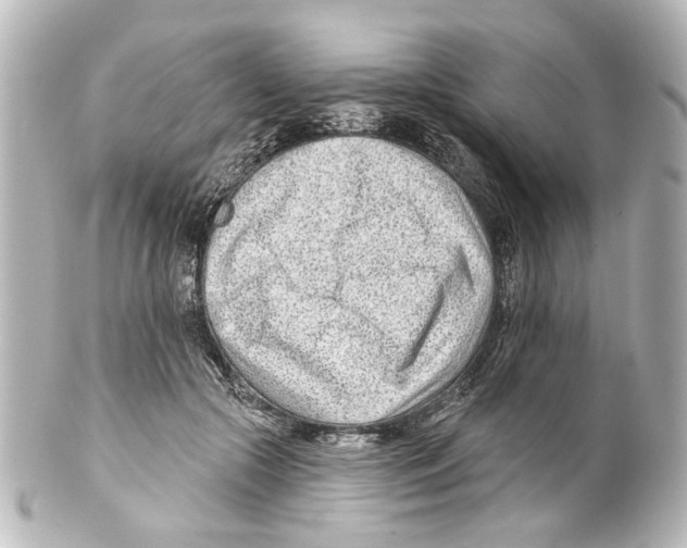 X0000100210553200806271706