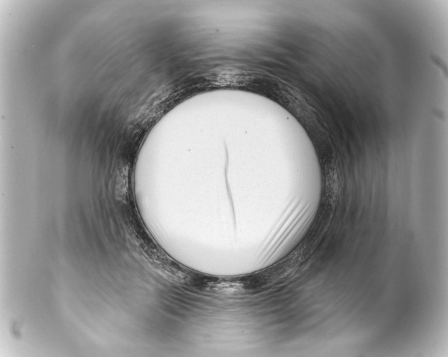 X0000100210554200806271706