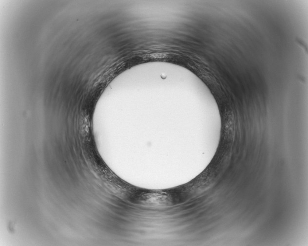 X0000100210555200806271706