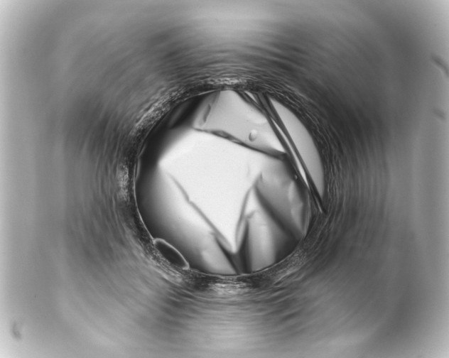 X0000100210556200806271706