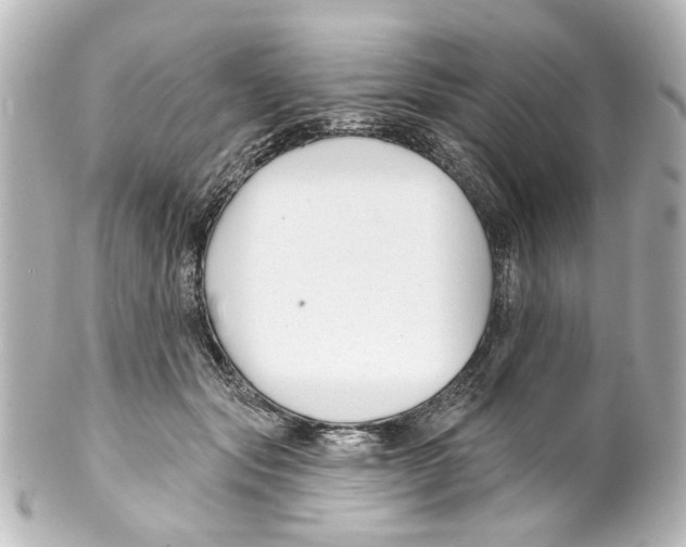 X0000100210557200806271707