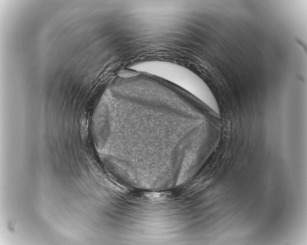 X0000100210558200806271707