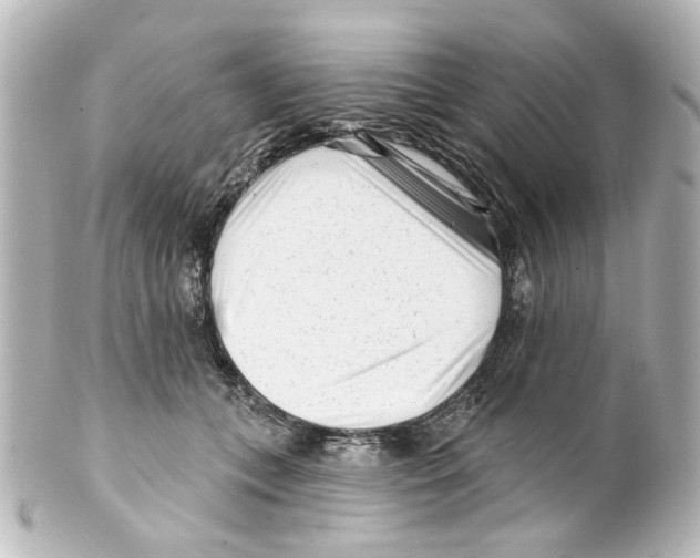 X0000100210559200806271707