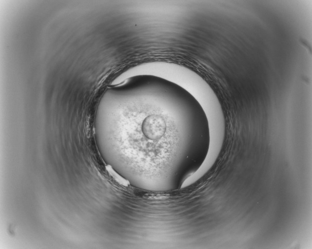 X0000100210560200806271707