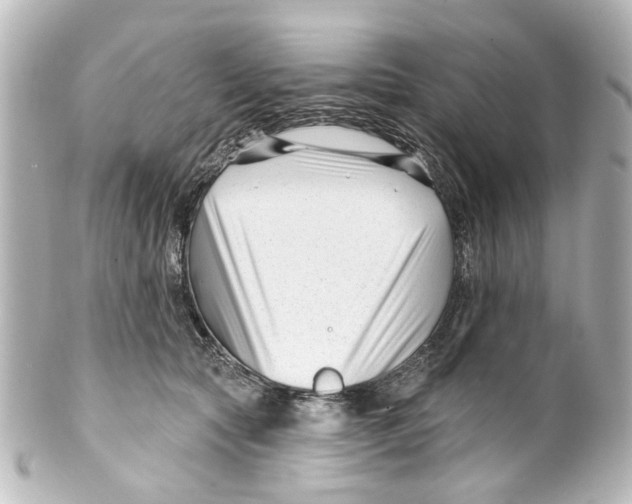 X0000100210561200806271707