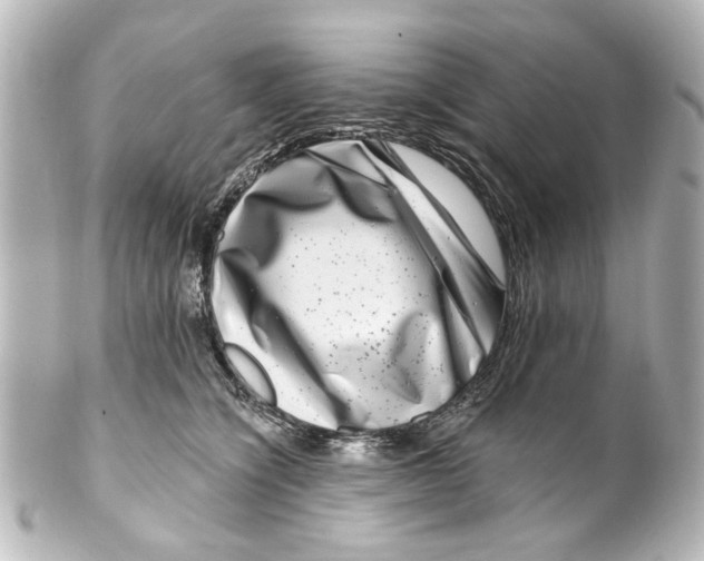 X0000100210564200806271707