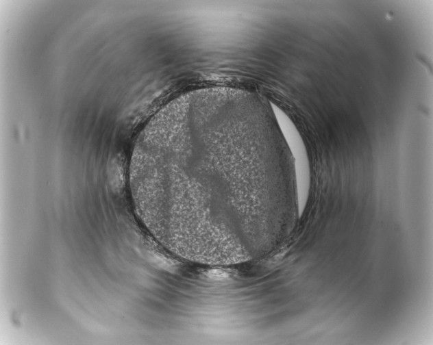 X0000100210566200806271707