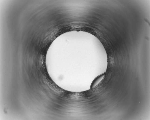 X0000100210567200806271707