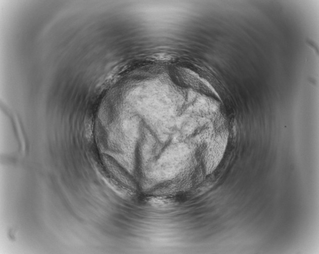 X0000100210568200806271707