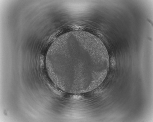 X0000100210570200806271707