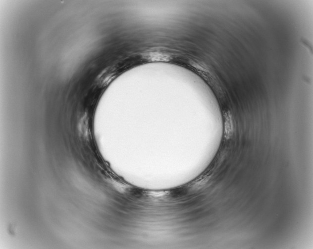 X0000100210573200806271707