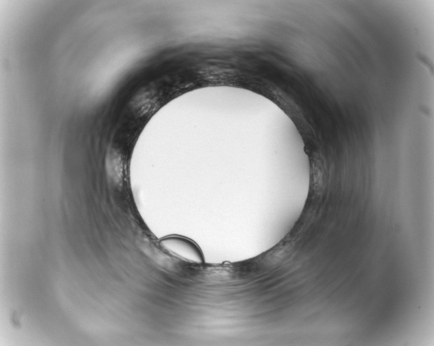 X0000100210574200806271707