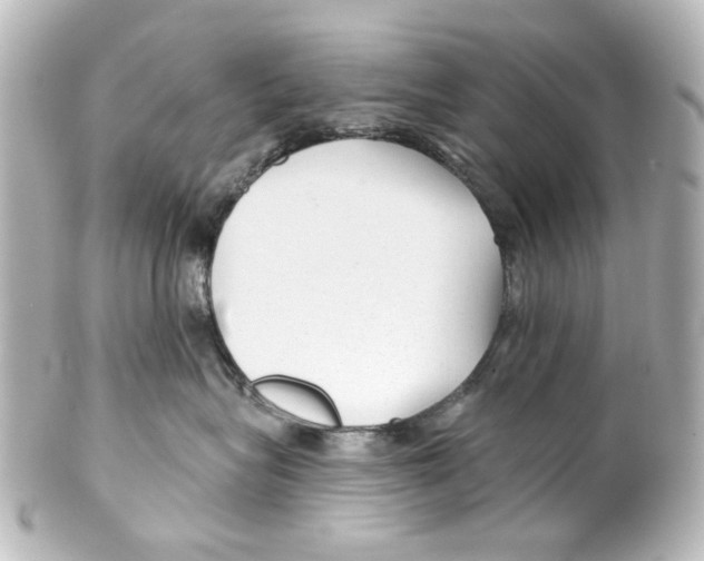 X0000100210575200806271707