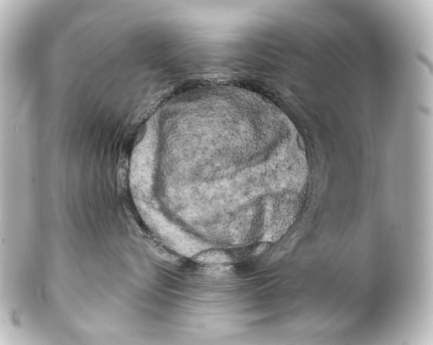 X0000100210576200806271707