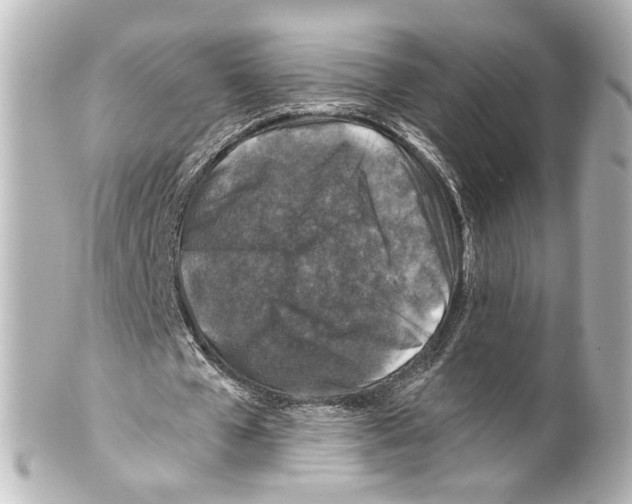 X0000100210577200806271706