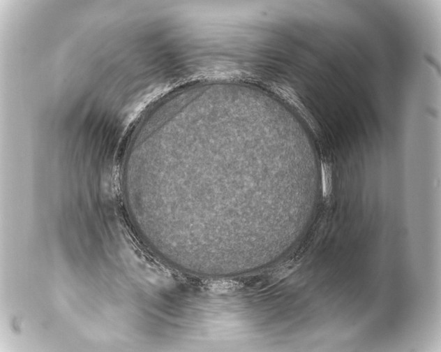 X0000100210579200806271706