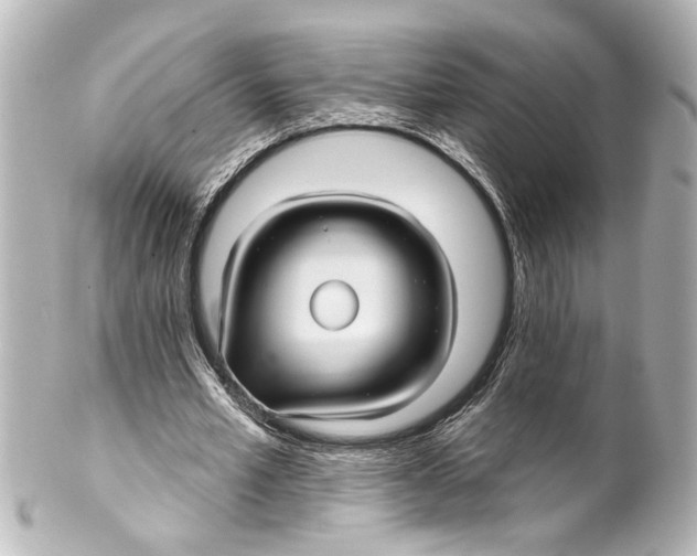 X0000100210581200806271706
