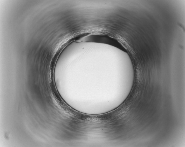 X0000100210582200806271706