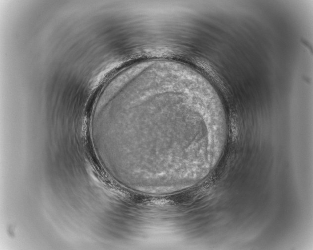 X0000100210583200806271706