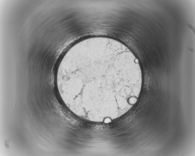 X0000100210584200806271706