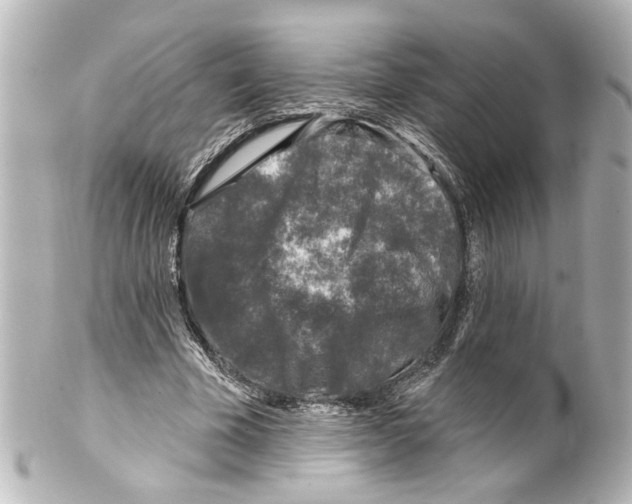 X0000100210585200806271706