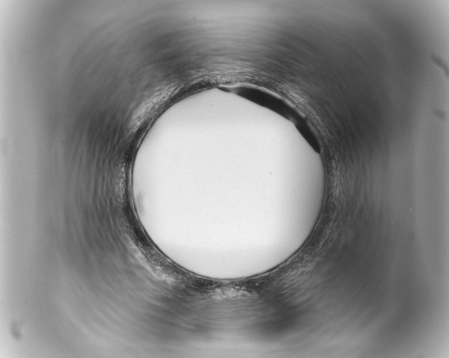 X0000100210586200806271706