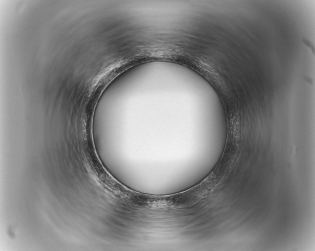 X0000100210587200806271706