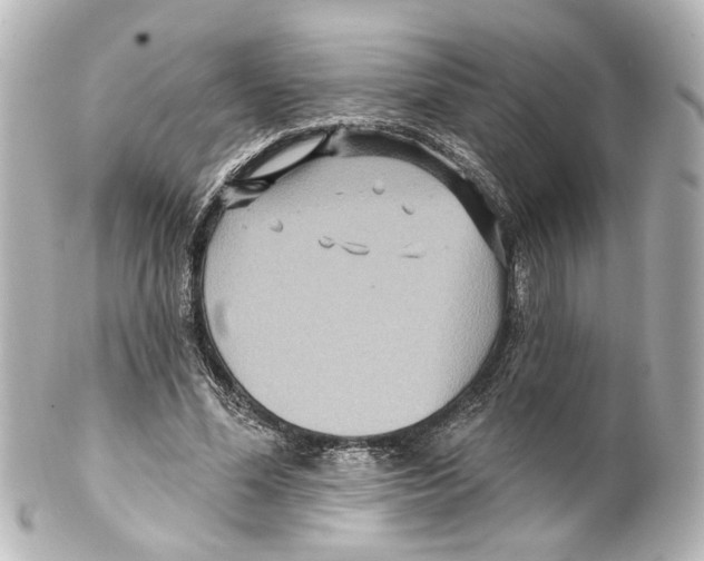 X0000100210588200806271706