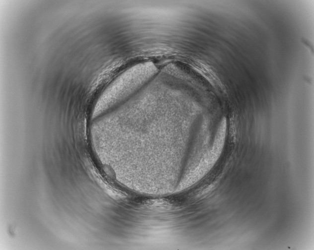 X0000100210589200806271706