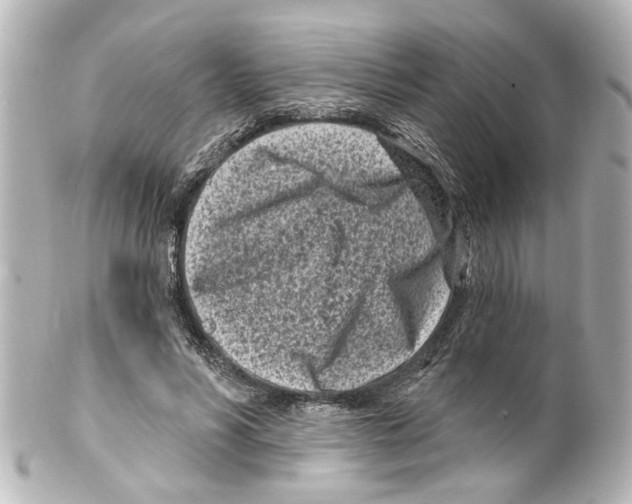 X0000100210590200806271706
