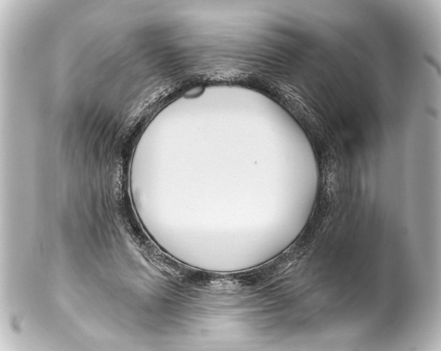 X0000100210591200806271706