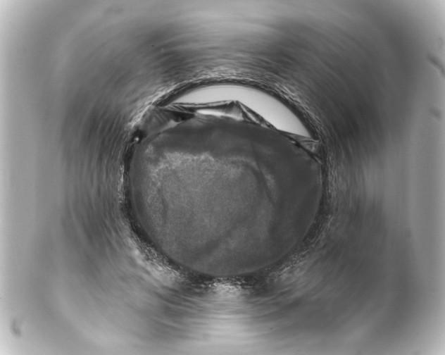 X0000100210592200806271706
