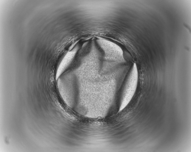 X0000100210593200806271706