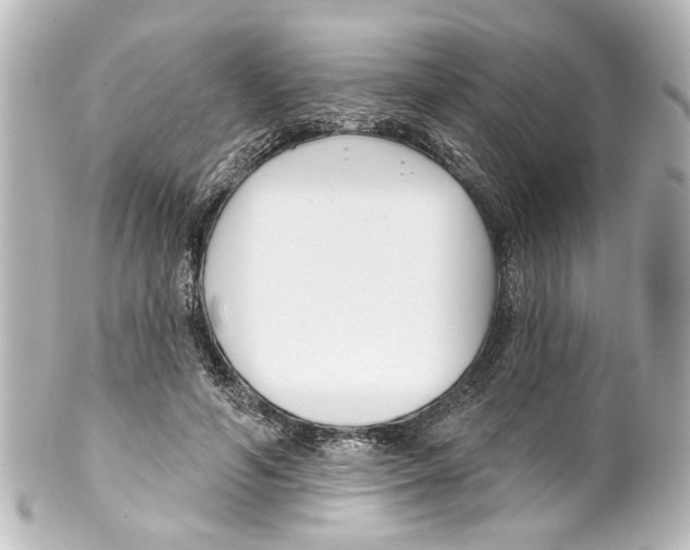 X0000100210594200806271706