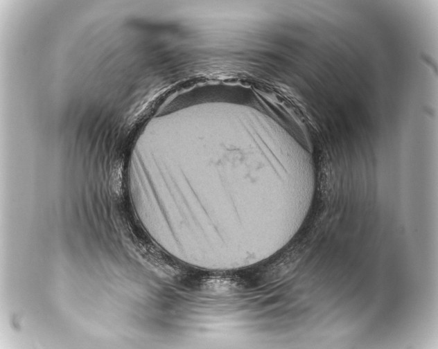 X0000100210596200806271706