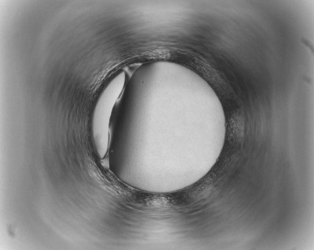 X0000100210600200806271706