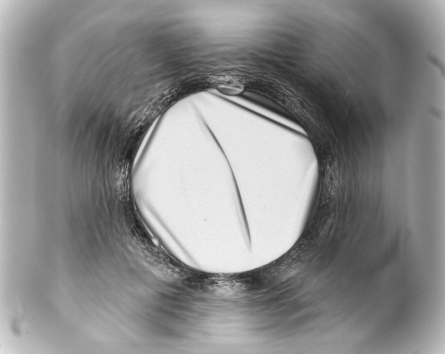 X0000100210601200806271706