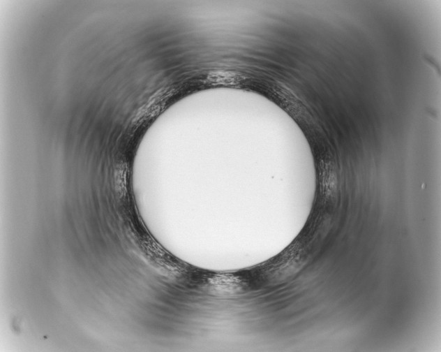 X0000100210603200806271706
