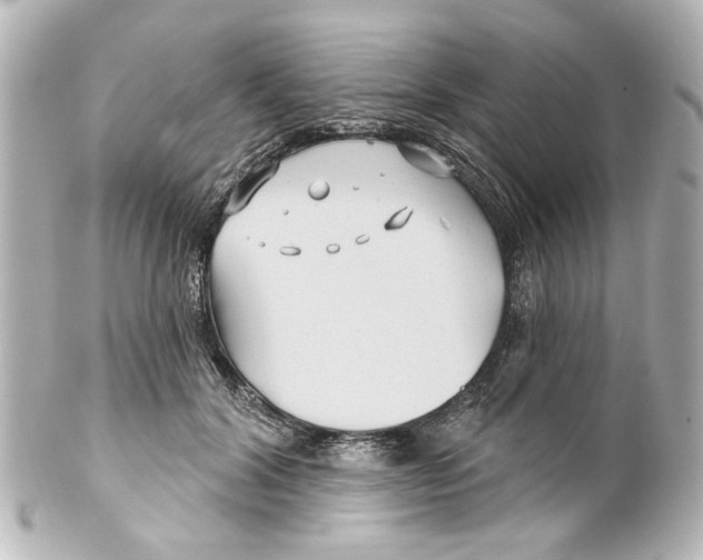 X0000100210604200806271706