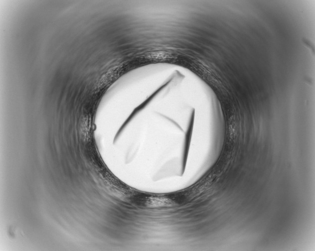 X0000100210605200806271706