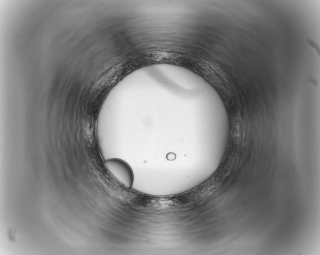 X0000100210607200806271706